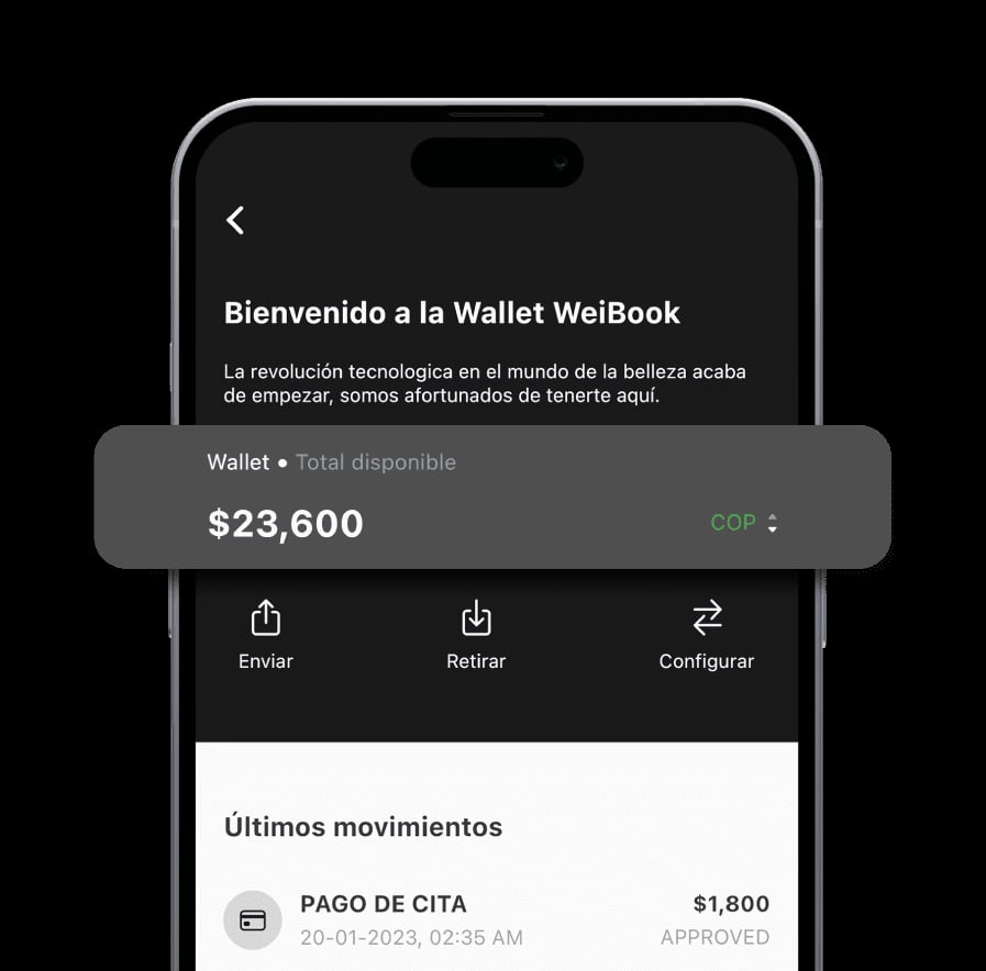 Weibook Wallet view showing available balance and send/withdraw options